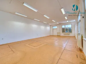 Pronájem obchodního prostoru, Hradec Králové, S. K. Neumanna, 250 m2