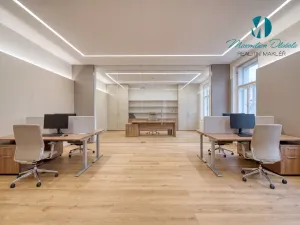 Pronájem obchodního prostoru, Hradec Králové, S. K. Neumanna, 250 m2