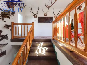 Prodej rodinného domu, Hať, Sportovců, 250 m2