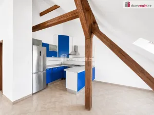 Pronájem bytu 1+kk, Ústí nad Labem - Ústí nad Labem-centrum, Králova výšina, 99 m2