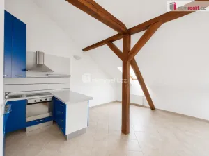 Pronájem bytu 1+kk, Ústí nad Labem - Ústí nad Labem-centrum, Králova výšina, 99 m2