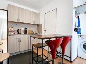 Pronájem bytu 1+1, Sebranice, 30 m2