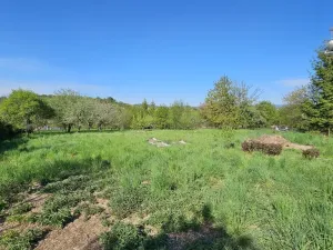 Pronájem bytu 1+1, Sebranice, 30 m2
