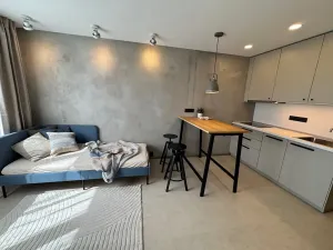 Prodej bytu 1+kk, Praha - Záběhlice, Narcisová, 24 m2