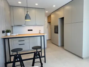 Prodej bytu 1+kk, Praha - Záběhlice, Narcisová, 24 m2
