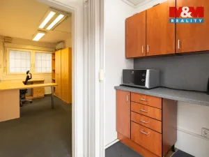 Pronájem výrobních prostor, Dnešice, 694 m2