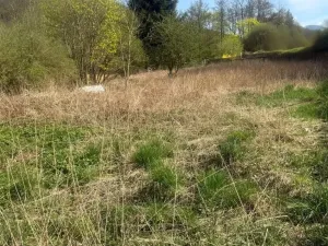 Prodej pozemku pro bydlení, Velké Březno, 1198 m2