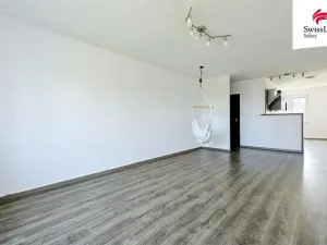 Prodej bytu 2+kk, Plzeň, Nepomucká, 57 m2