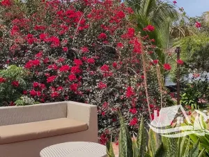 Prodej atypického bytu, Santa Maria, Kapverdy, 41 m2