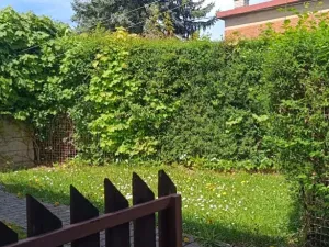Pronájem bytu 1+kk, Zlín, Slovenská, 40 m2