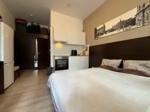 Pronájem bytu 1+kk, Brno, Francouzská, 26 m2