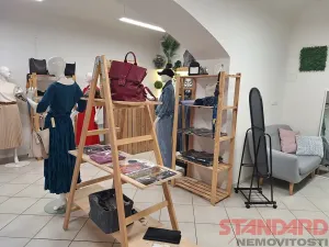 Pronájem obchodního prostoru, Plzeň, Solní, 38 m2