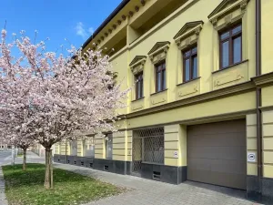 Prodej bytu 1+kk, Brno, Hálkova, 55 m2