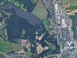 Prodej podílu lesa, České Budějovice, České Vrbné, 1852 m2