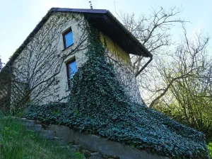Prodej chaty, Třebíč, ZK Zelený kopec, 48 m2