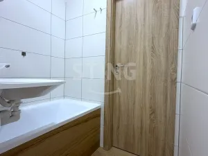 Pronájem bytu 1+1, Ostrava - Poruba, 38 m2