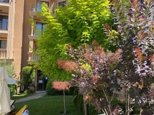 Prodej bytu 2+kk, Nesebar, Bulharsko, 35 m2