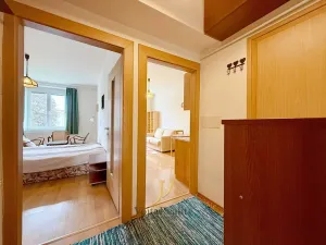 Pronájem bytu 2+kk, Olomouc, Gorazdovo nám., 43 m2