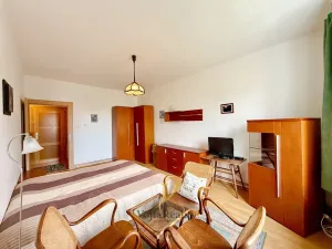 Pronájem bytu 2+kk, Olomouc, Gorazdovo nám., 43 m2