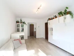 Pronájem bytu 3+1, Písek, Jaromíra Malého, 68 m2