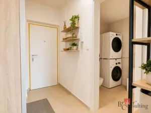 Pronájem bytu 2+kk, Plzeň - Východní Předměstí, Kartónová, 54 m2