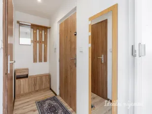 Pronájem bytu 1+kk, Kladno - Kročehlavy, Vitry, 25 m2