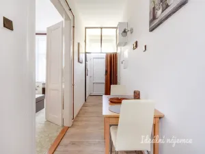 Pronájem bytu 2+kk, Praha - Staré Město, U staré školy, 45 m2