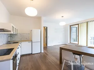 Pronájem bytu 2+kk, Praha - Nusle, Pod Děkankou, 59 m2
