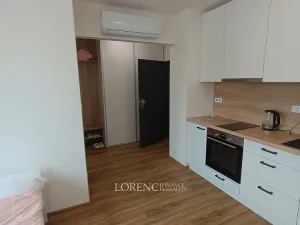 Pronájem bytu 1+kk, Hodonín, Žižkova, 23 m2