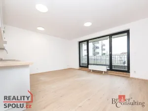 Pronájem bytu 1+kk, Plzeň, Železná, 40 m2