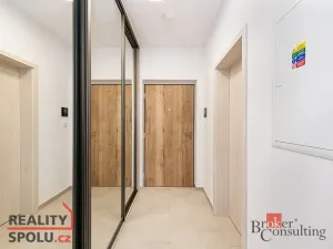Pronájem bytu 1+kk, Plzeň, Železná, 40 m2