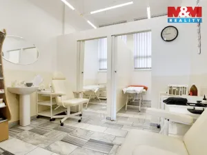 Prodej obchodního prostoru, Chomutov, Palackého, 159 m2