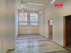 Prodej obchodního prostoru, Chomutov, Palackého, 159 m2