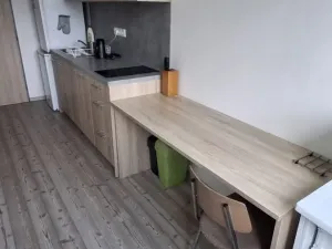 Pronájem bytu 2+1, Olomouc, U Hradiska, 50 m2