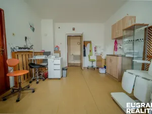 Prodej rodinného domu, Nový Bor - Janov, 350 m2