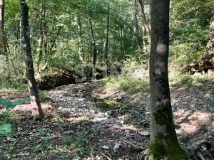 Prodej chaty, Tvarožná Lhota, 47 m2