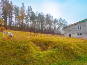 Prodej pozemku pro bydlení, Dačice - Dačice III, U Třech křížů, 713 m2