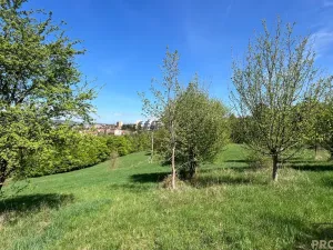 Prodej komerčního pozemku, Blansko - Klepačov, 10598 m2