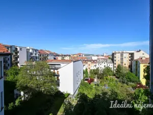 Pronájem bytu 2+1, Brno, Čápkova, 67 m2