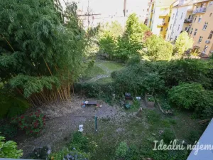 Pronájem bytu 2+1, Brno, Čápkova, 67 m2