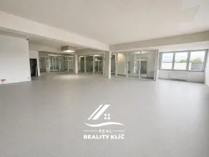Pronájem obchodního prostoru, Hlučín, Cihelní, 167 m2