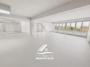 Pronájem obchodního prostoru, Hlučín, Cihelní, 167 m2