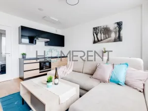 Pronájem bytu 1+kk, Praha - Vinohrady, Perucká, 26 m2