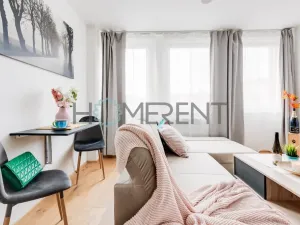 Pronájem bytu 1+kk, Praha - Vinohrady, Perucká, 26 m2