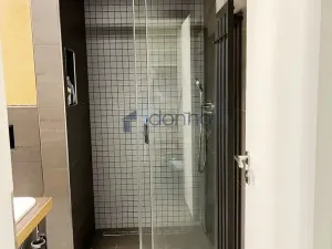 Pronájem bytu 1+kk, Praha, U jízdárny, 41 m2