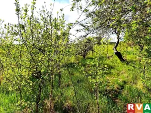 Prodej rodinného domu, Benešovice, 81 m2