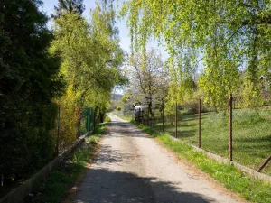 Prodej chaty, Janovice, 440 m2