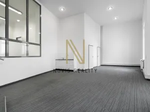 Pronájem kanceláře, Plzeň - Jižní Předměstí, Americká, 140 m2