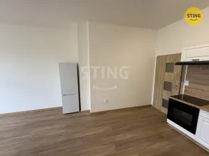 Pronájem bytu 1+kk, Prostějov, Žižkovo nám., 47 m2