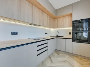 Pronájem bytu 2+kk, Ostrava - Mariánské Hory, Korunní, 55 m2